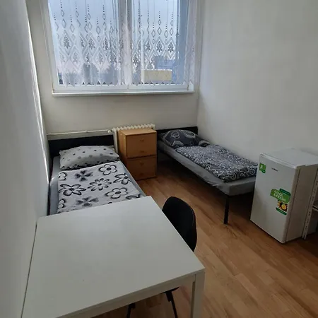 Videnska Hostel *